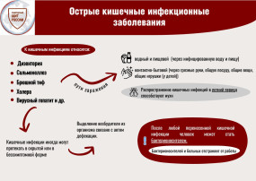 Острые кишечные инфекционные заболевания Острые кишечные инфекционные заболевания.
