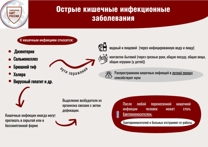 Острые кишечные инфекционные заболевания Острые кишечные инфекционные заболевания.